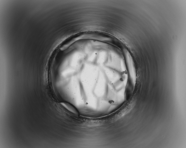 X0000096150877200802151352