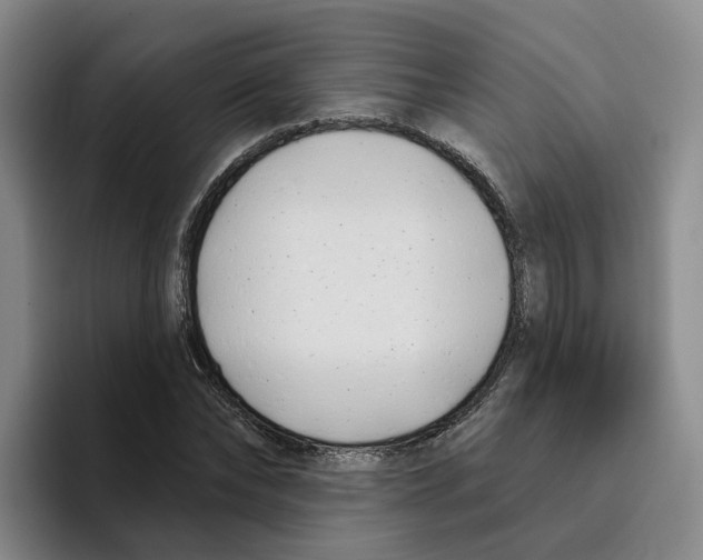 X0000096150878200802151352