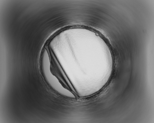 X0000096150879200802151352