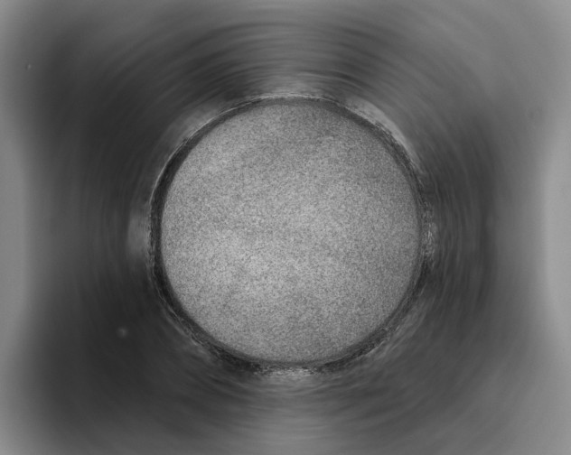 X0000096150882200802151352