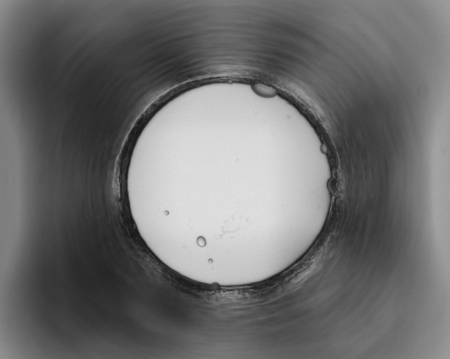 X0000096150883200802151352