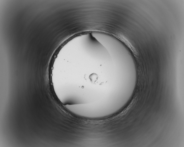 X0000096150884200802151352