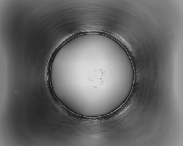 X0000096150885200802151352