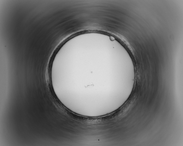 X0000096150887200802151352