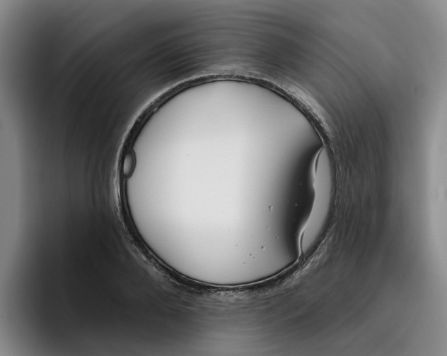 X0000096150888200802151352