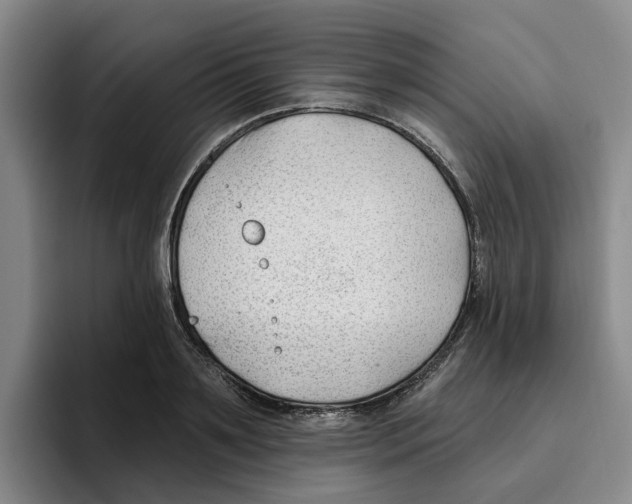 X0000096150891200802151352