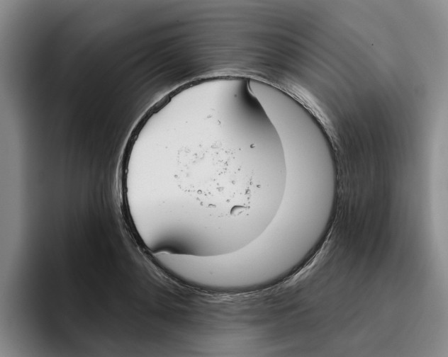 X0000096150892200802151352