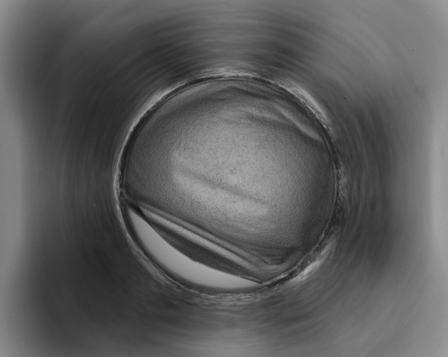 X0000096150893200802151352