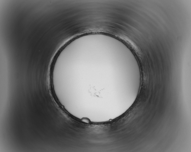 X0000096150894200802151352