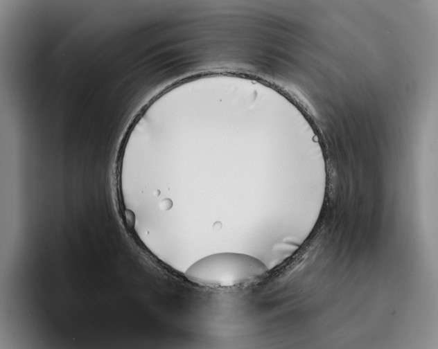 X0000096150895200802151352