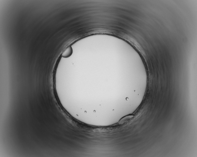 X0000096150898200802151352