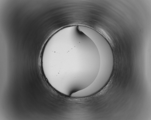 X0000096150900200802151352