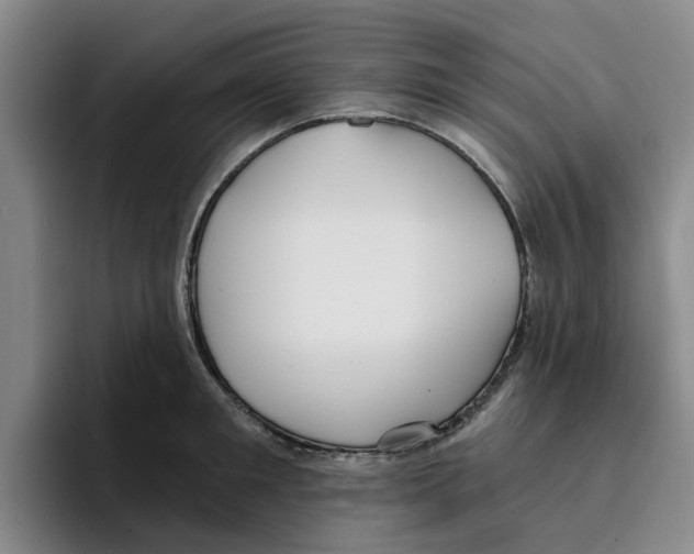 X0000096150901200802151352