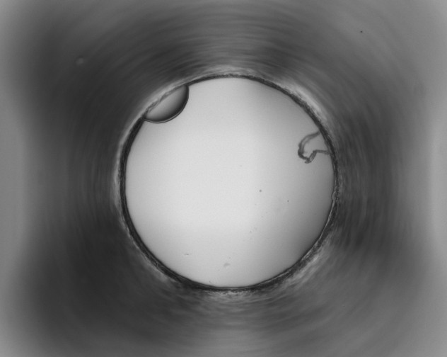 X0000096150902200802151352