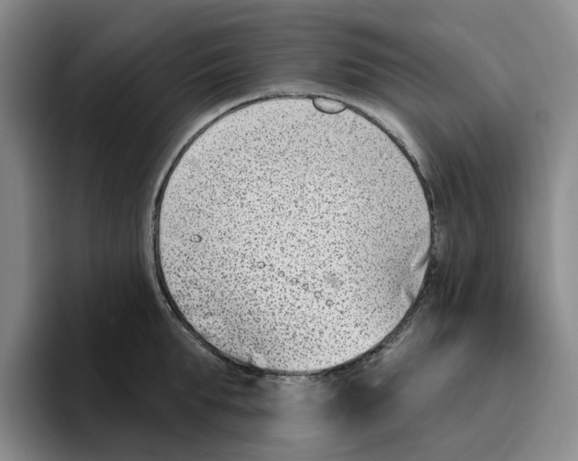 X0000096150903200802151352