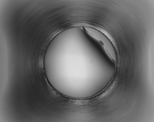 X0000096150905200802151352