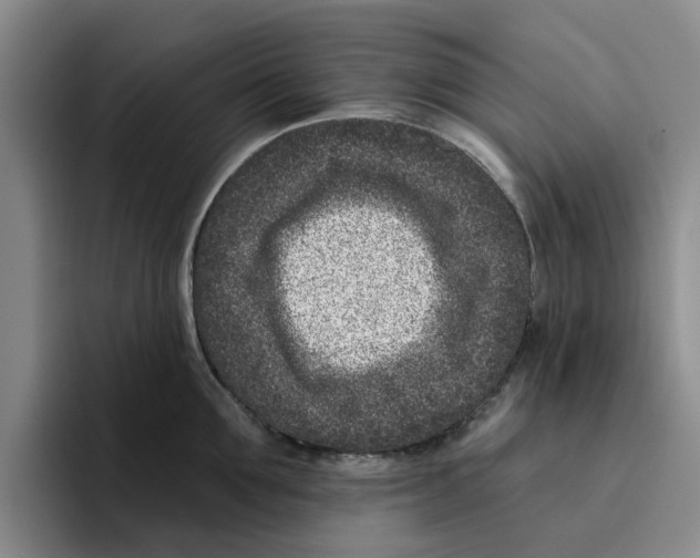 X0000096150907200802151352