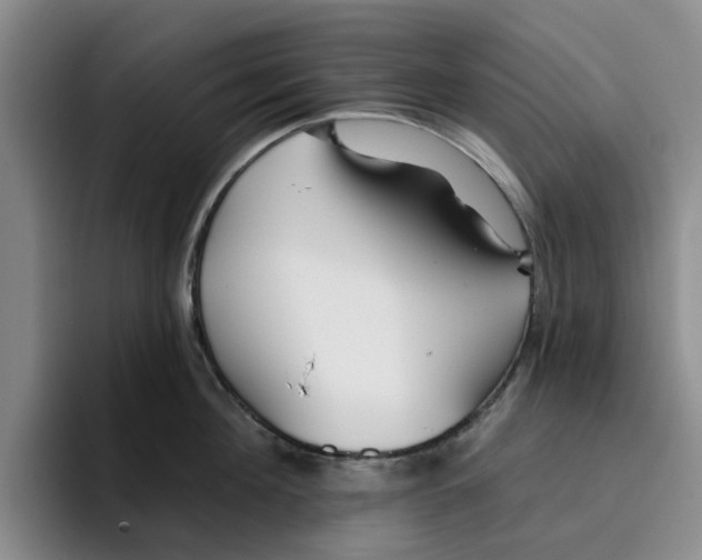 X0000096150908200802151352