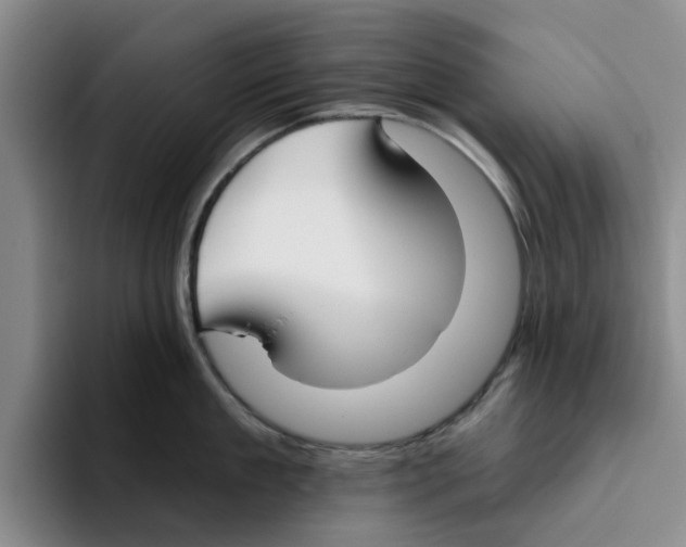 X0000096150909200802151352