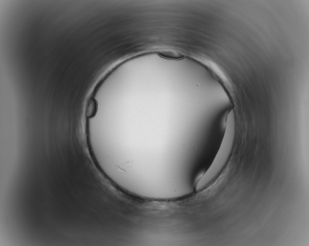 X0000096150910200802151352