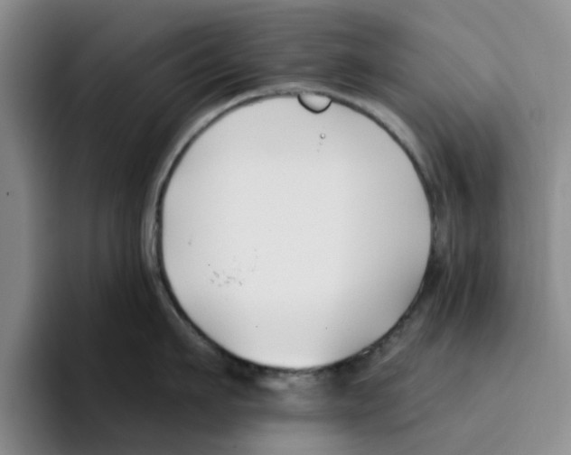 X0000096150911200802151352