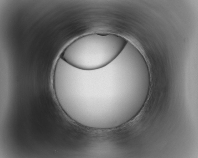 X0000096150912200802151352