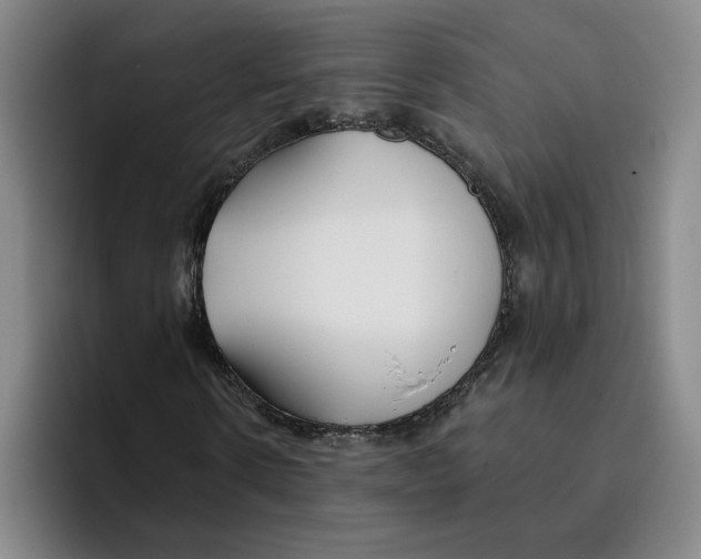 X0000096150914200802151351