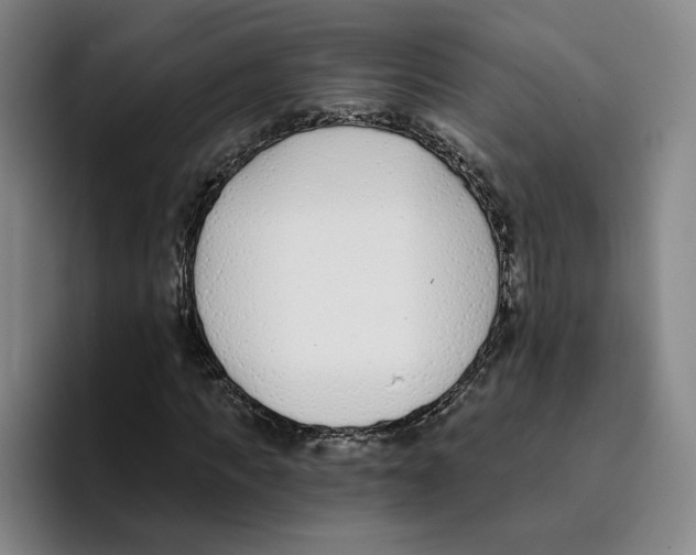 X0000096150917200802151351