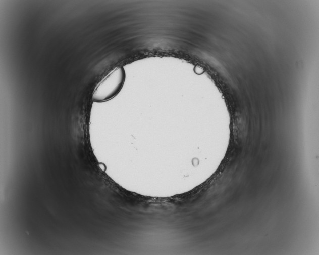 X0000096150918200802151351