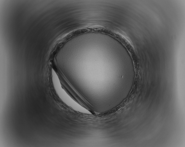 X0000096150920200802151351