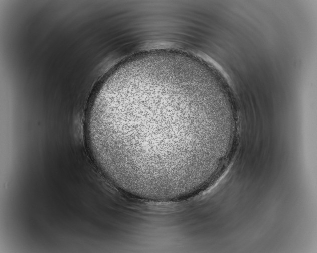 X0000096150921200802151351