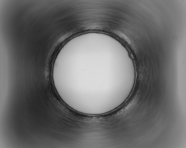 X0000096150922200802151351