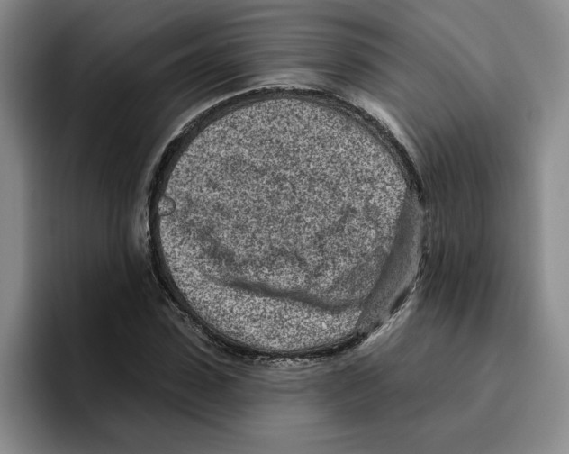 X0000096150923200802151351