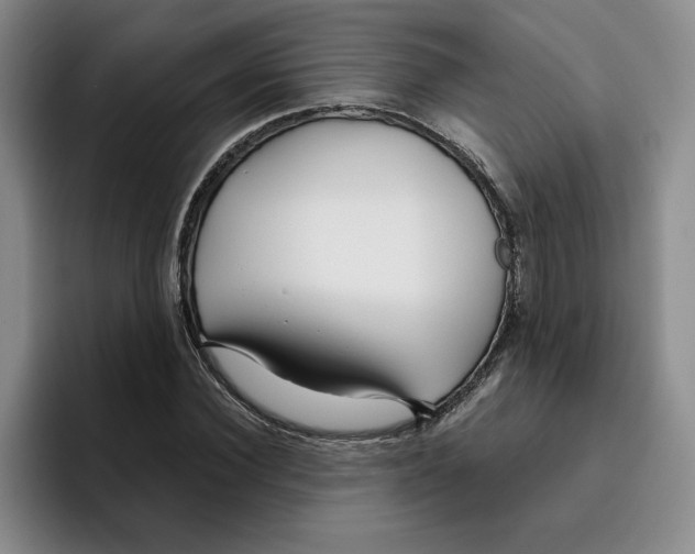 X0000096150924200802151351