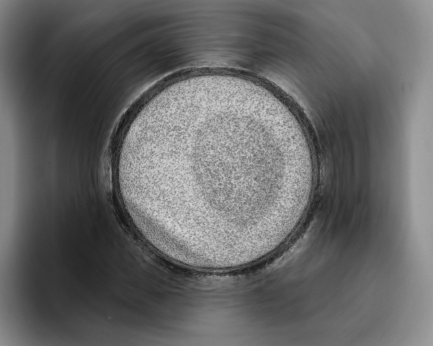 X0000096150925200802151351