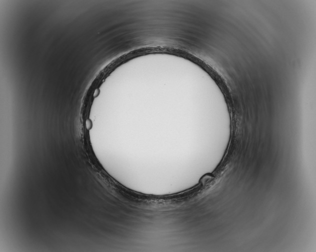 X0000096150927200802151351