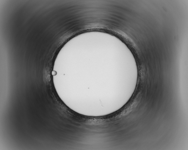 X0000096150929200802151351