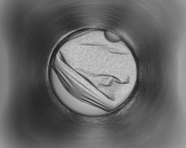 X0000096150932200802151351