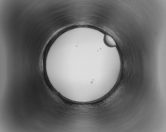 X0000096150934200802151351