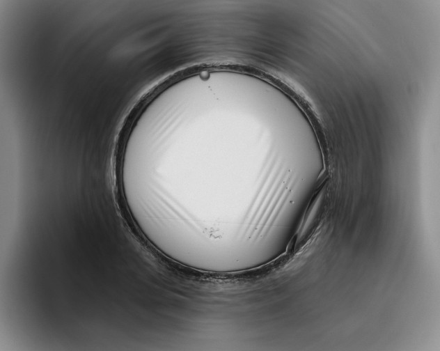 X0000096150935200802151351