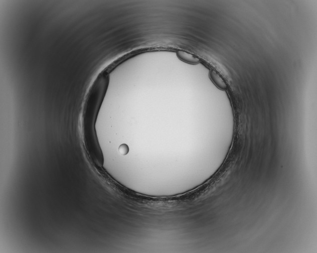 X0000096150936200802151351