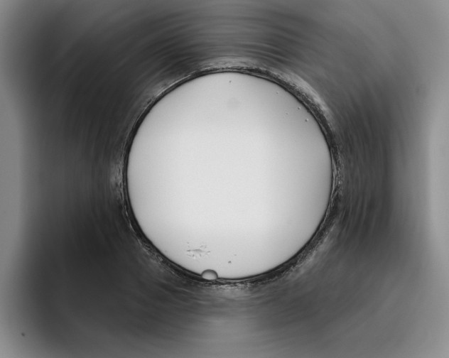 X0000096150937200802151351