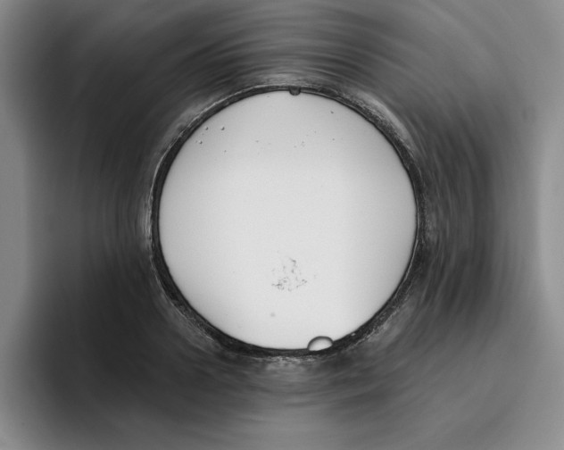 X0000096150938200802151351