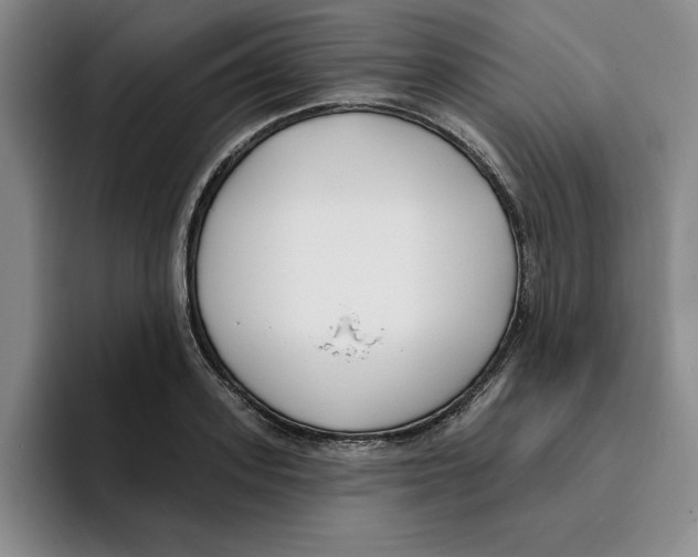 X0000096150939200802151351