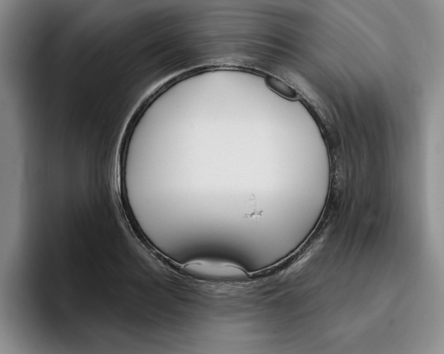 X0000096150940200802151351