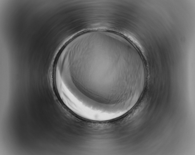 X0000096150941200802151351