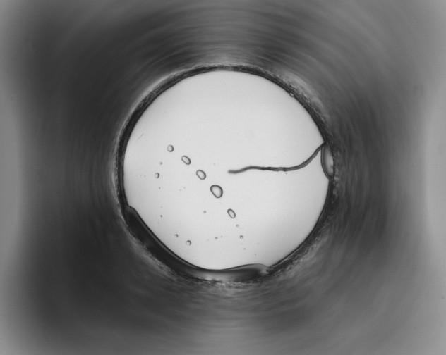 X0000096150942200802151351