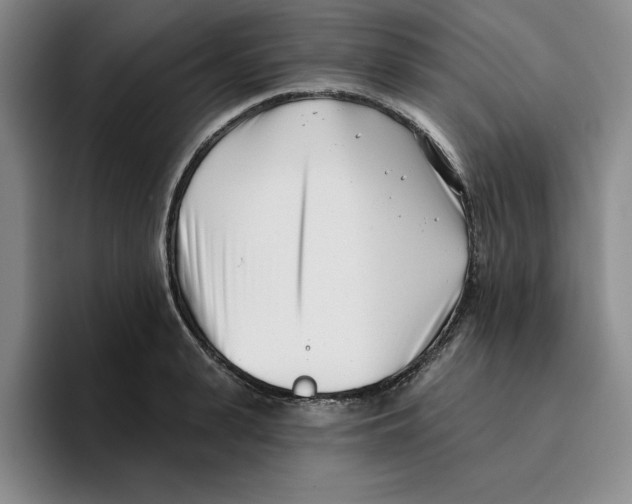 X0000096150943200802151351