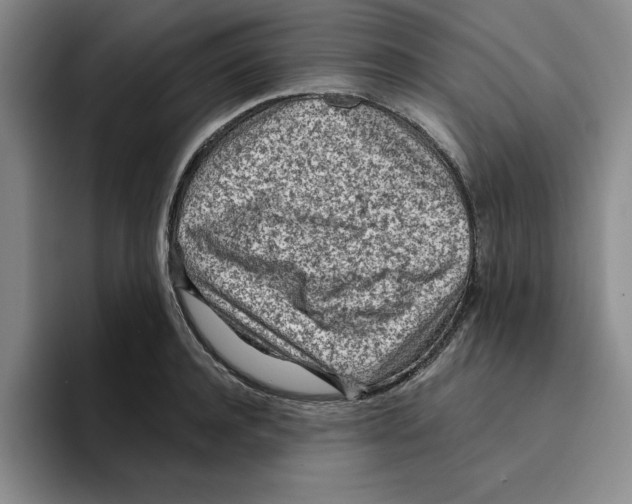 X0000096150944200802151351