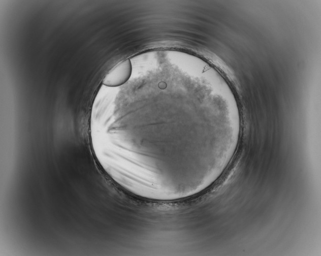 X0000096150945200802151351